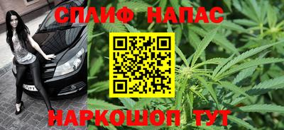 гидра Бузулук