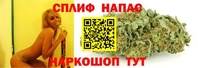 jwh Будённовск